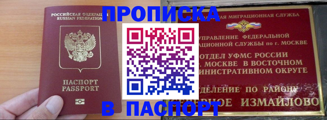 прописка в Невеле